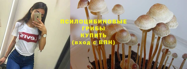 скорость Алексеевка